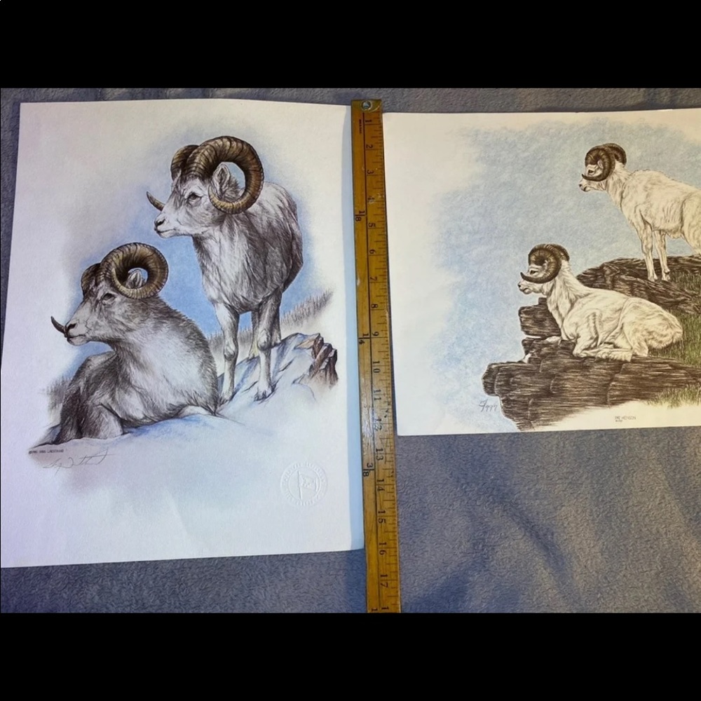 Alaska artwork - Picture 11 of 11
